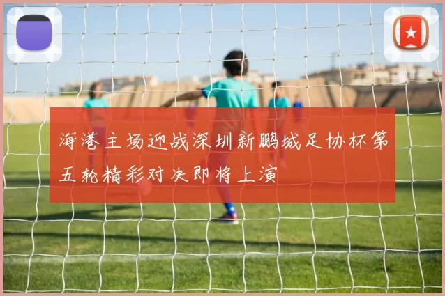 海港主场迎战深圳新鹏城足协杯第五轮精彩对决即将上演
