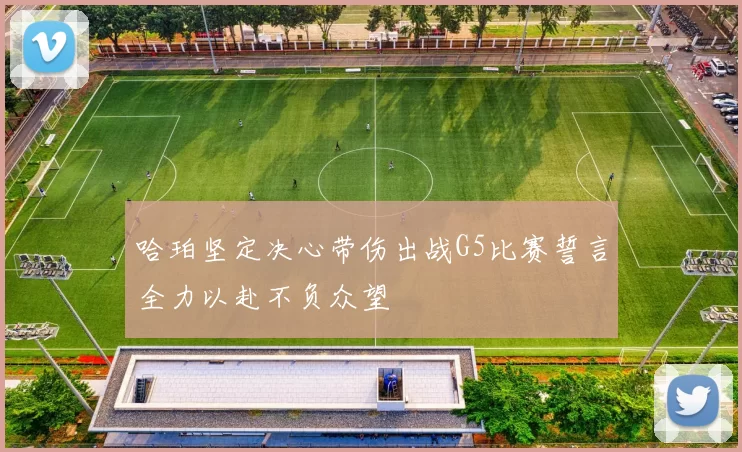 哈珀坚定决心带伤出战G5比赛誓言全力以赴不负众望