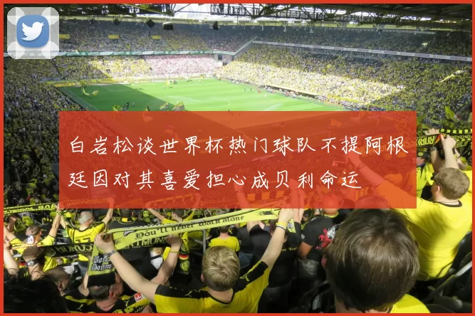 白岩松谈世界杯热门球队不提阿根廷因对其喜爱担心成贝利命运